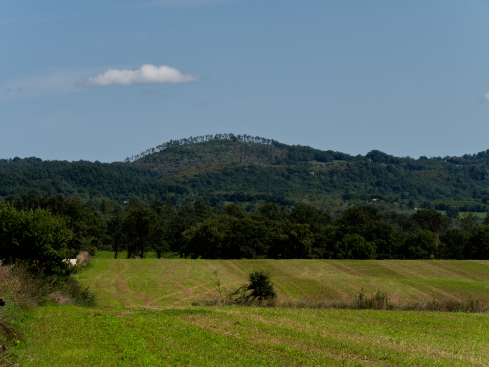 Day 12 - Est! Est!! Est!!!