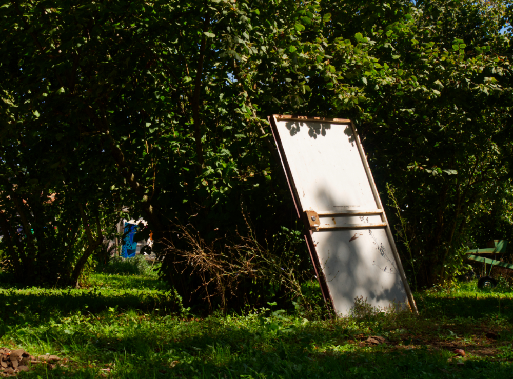 Day 16 - Così è (se vi pare)