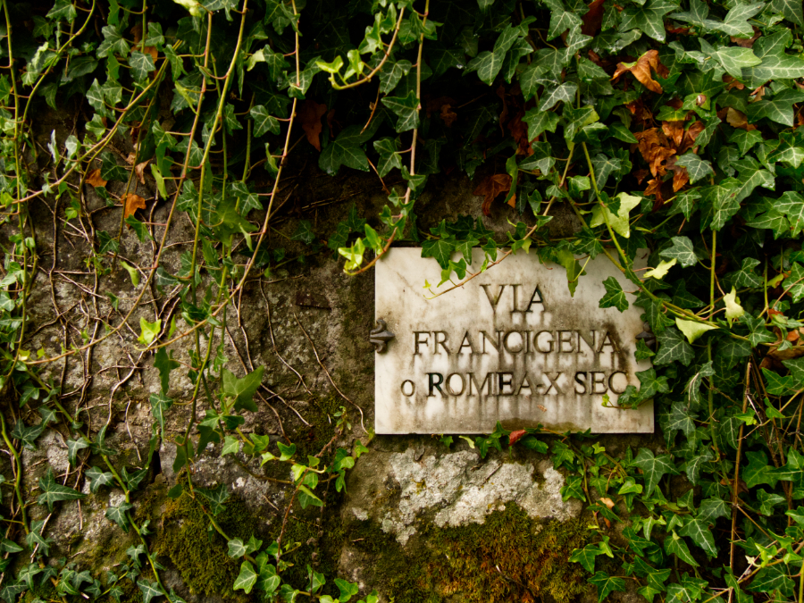 Day 2 - Pilgrim mode and hospitality