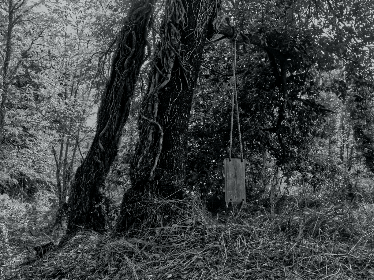 Day 3 - E arrivato, Zampanò!