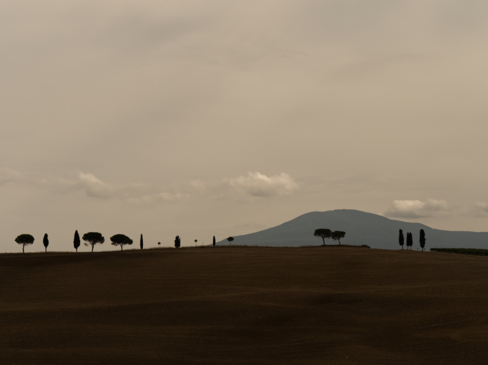 Tuscan landscape