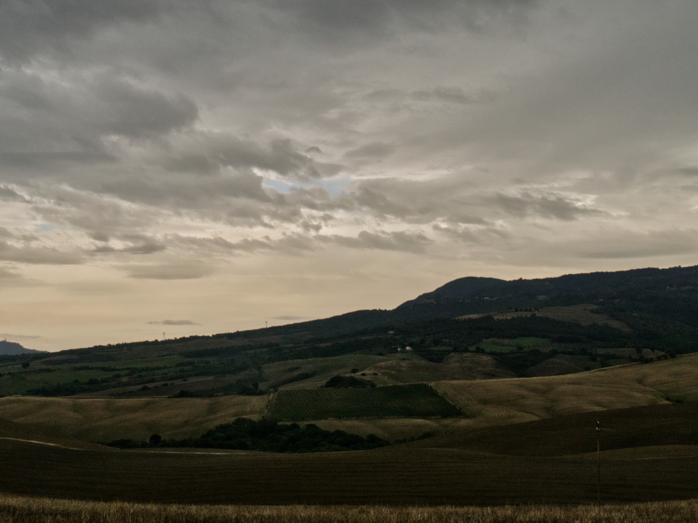 Day 9 - Run! Run! Run!