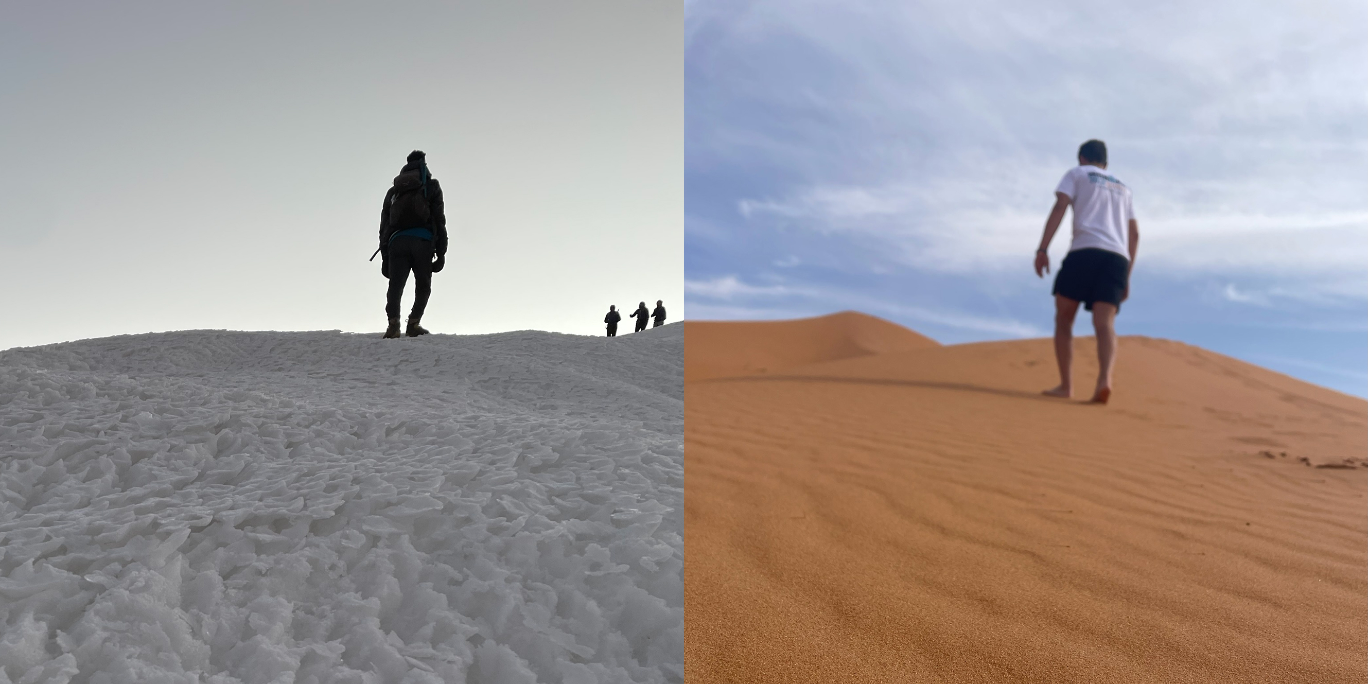 Desert landscape